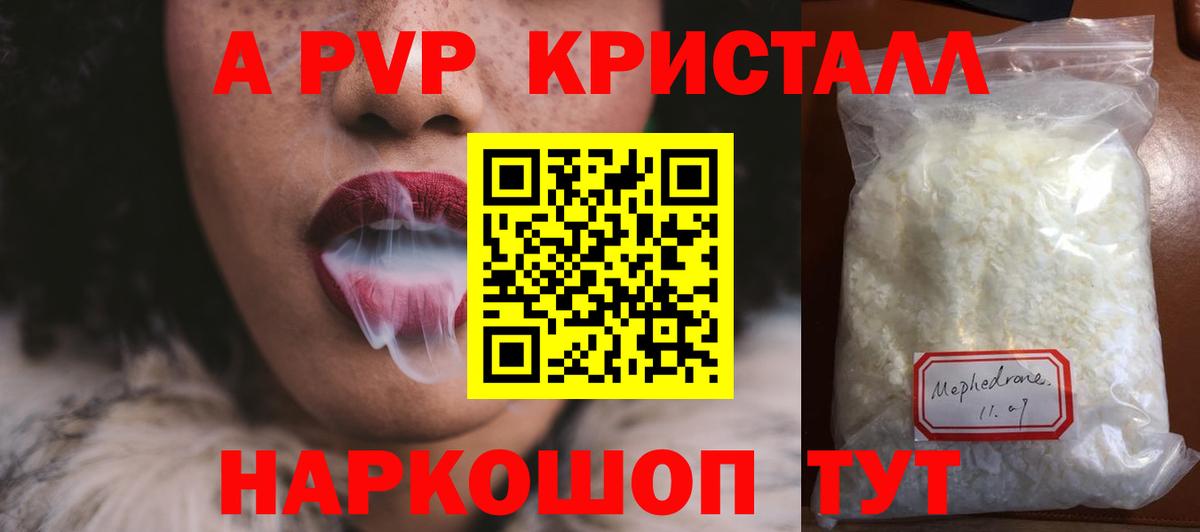 A PVP СК КРИС Обь