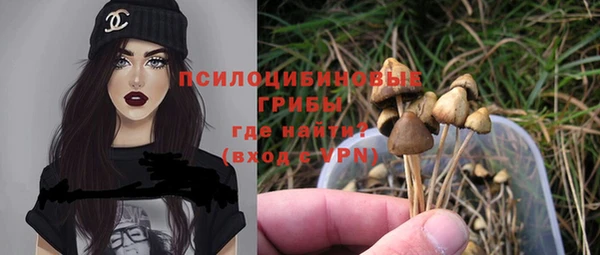 Альфа ПВП Беломорск