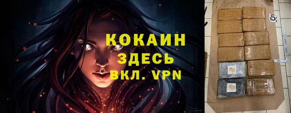 крисы Белоозёрский