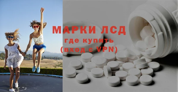 шишки Сатка