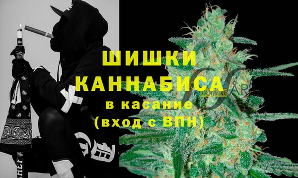 эйфоретик Баксан