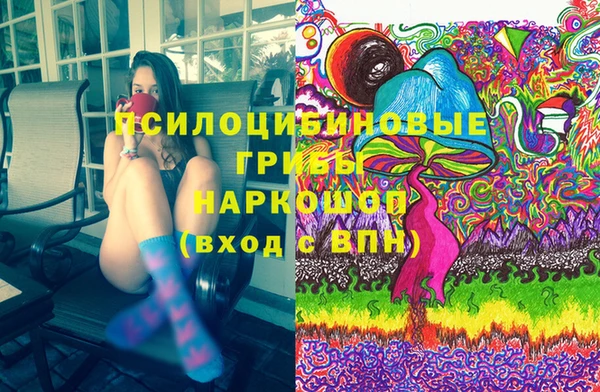 эйфоретик Баксан