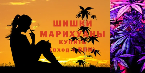 Альфа ПВП Беломорск