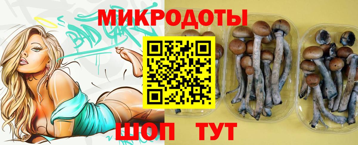 Обь  Галлюциногенные грибы Magic Shrooms  дарнет шоп  Псилоцибиновые грибы Magic Shrooms  Вход с VPN 